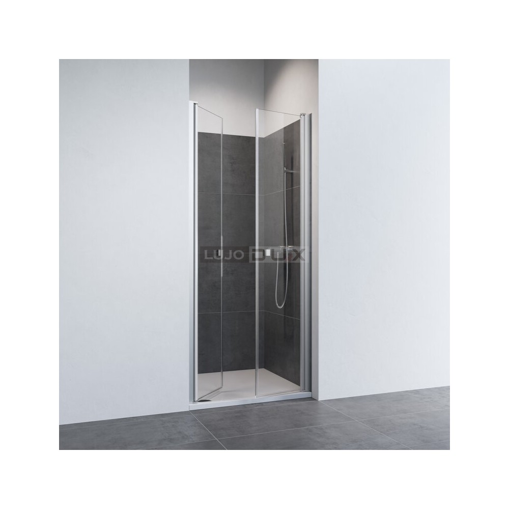 Mampara de ducha D2 Swing 2 abatibles